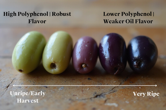 What is "Early Harvest" Olive Oil? And What Does it Mean?