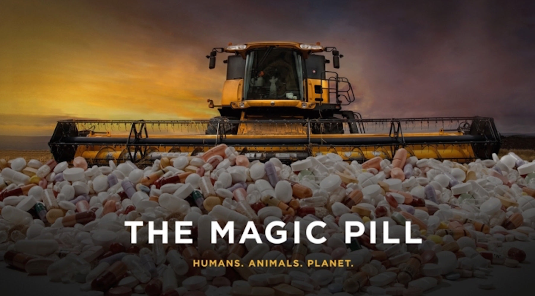 The Magic Pill A Food Documentary Kosterina